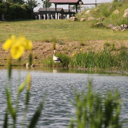 Kur-& Landhotel Borstel - Treff Dabel Екстер'єр фото