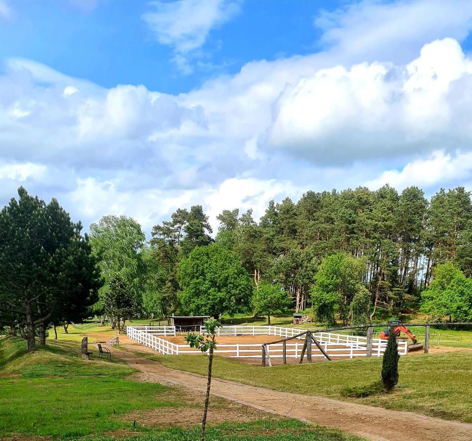 Kur-& Landhotel Borstel - Treff Dabel Екстер'єр фото