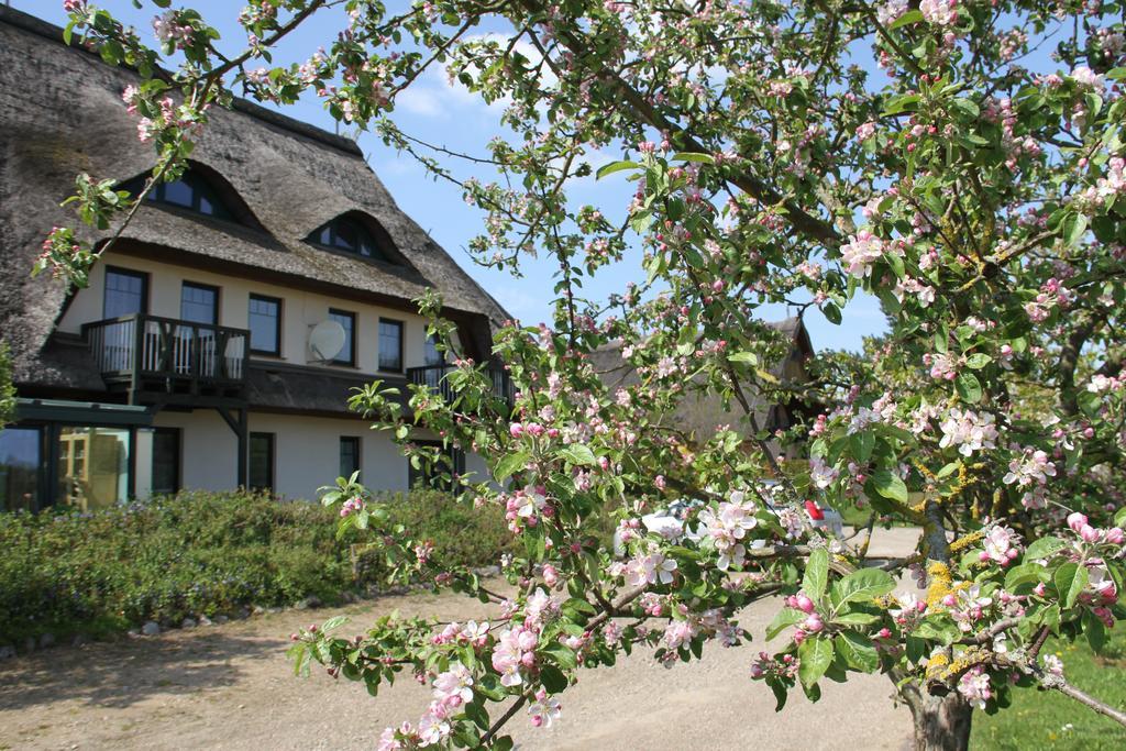 Kur-& Landhotel Borstel - Treff Dabel Екстер'єр фото